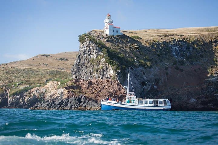 Dunedin to Taiaroa Head: Wildlife Cruise & Otago Peninsula Bus Tour photo 1