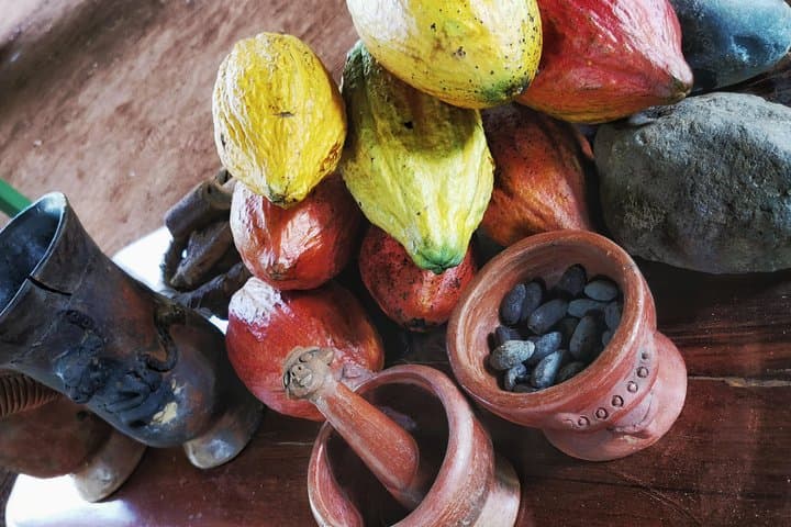 Manuel Antonio Chocolate Tour — Cacao, Coffee & Trapiche Experience