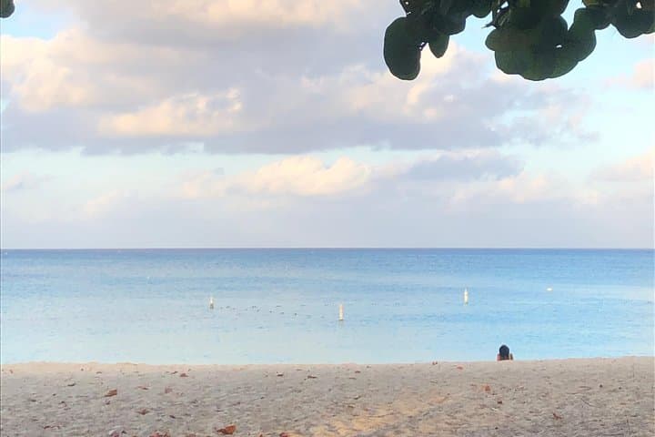 Open Water Swim Training on Seven Mile Beach — Triathlon Swim Coaching in Grand Cayman photo 2