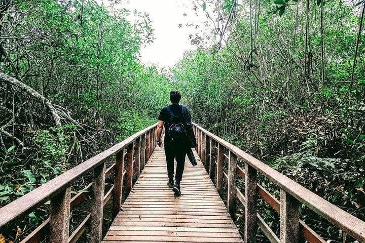 Churute Mangrove & Cacao Farm Day Trip from Guayaquil photo 4