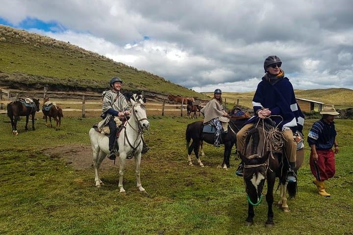 Horseback Riding in Cotopaxi National Park: Full-Day Andes Adventure from Quito photo 6