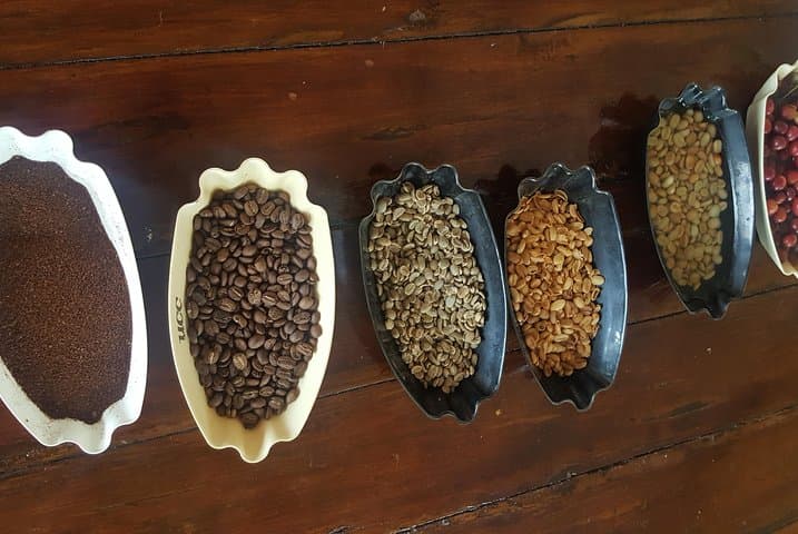 Blue Mountain Coffee Tour from Runaway Bay — Hike, Roast, Sip in Jamaica’s Highlands photo 5