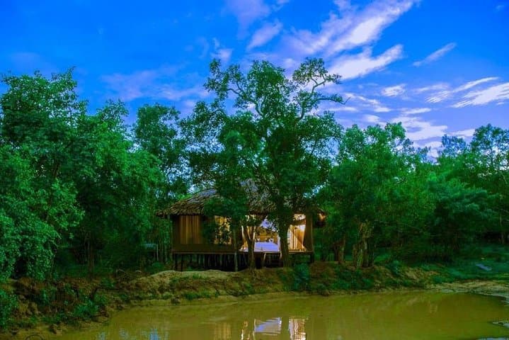 Overnight Tented Camping at Yala: Night Safaris, Leopards and Buffer-Zone Comfort photo 6
