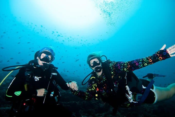 Try Scuba Diving on Nusa Penida: Intro Dive for Non-Certified Divers