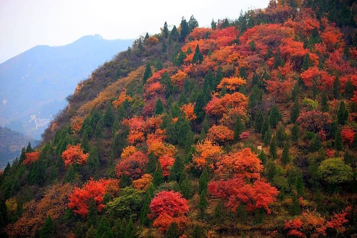 Ride the Kangxi Grasslands & Hike Badaling Great Wall: Private Day Tour from Beijing photo 4