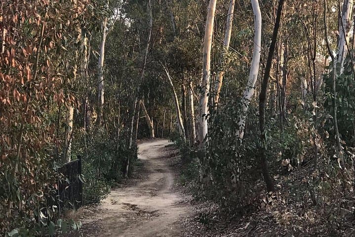 Fullerton Loop Beginner Electric Mountain Bike Tour: Easy E-Bike Ride in Orange County photo 2