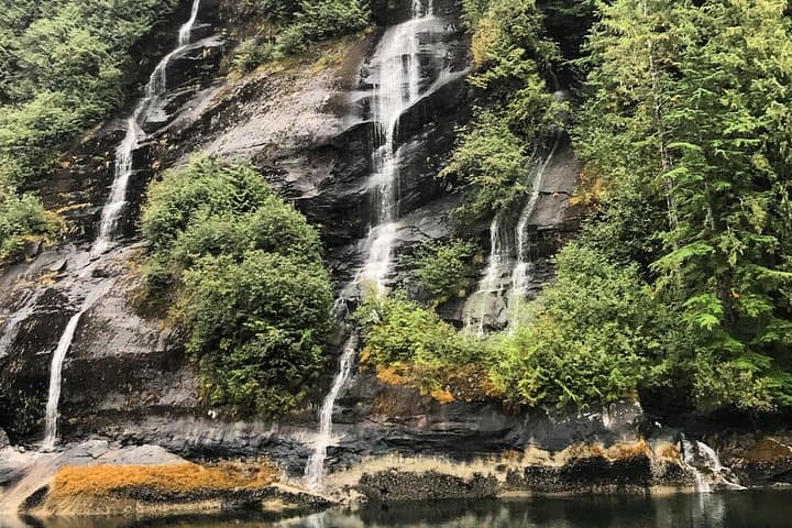 Ketchikan Whale Watching and Nature Tour — Revillagigedo Island Wildlife Cruise photo 6