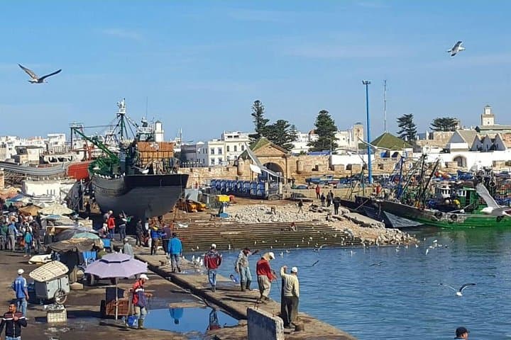 Essaouira Day Trip from Marrakech: Explore Mogador’s Atlantic Medina photo 3