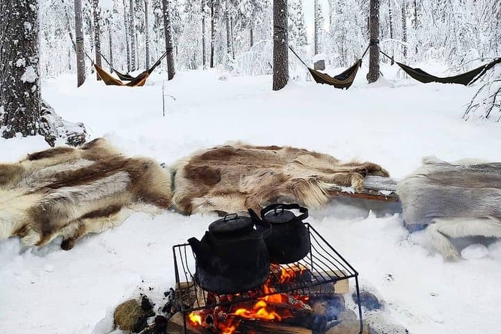 HaliPuu Forest Cocooning: Arctic Hammock Relaxation Near Levi, Finland photo 5