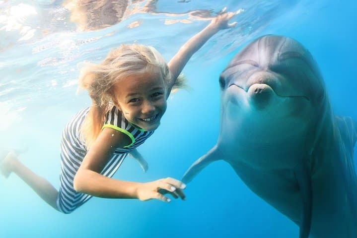 Dolphin House and Banana Boat: Hurghada Red Sea Snorkel & Ride photo 6
