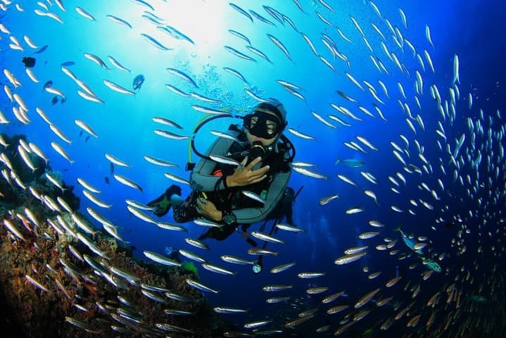 Hurghada Red Sea Scuba: Full-Day Beginner Dive Trip photo 5