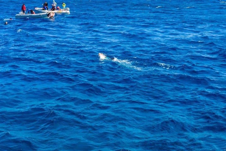 Snorkel Giftun Island: Day Trip to Paradise Island from Hurghada photo 2