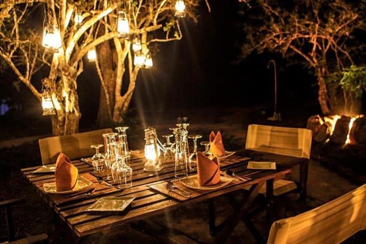 Overnight Tented Camping in Yala: Luxury Safari, Night Drives & Leopard Encounters photo 4