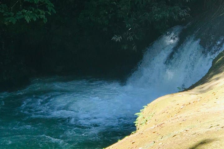 YS Falls, Floyd’s Pelican Bar & Black River Safari — Full-Day South Coast Tour photo 5