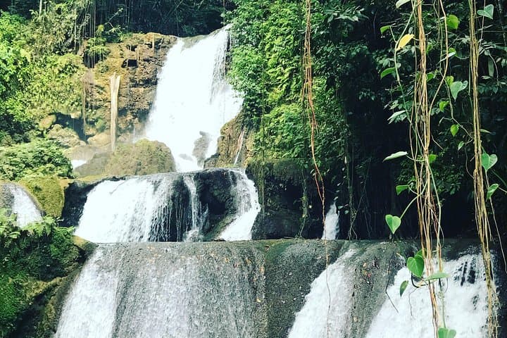 YS Falls, Floyd’s Pelican Bar & Black River Safari — Full-Day South Coast Tour photo 2