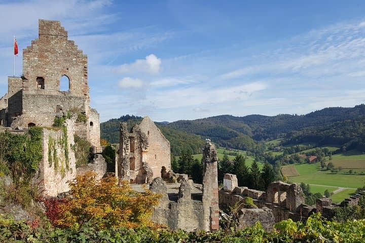 Black Forest Private Full-Day Tour: Baden-Baden to Freiburg — Triberg, Titisee & Waterfalls photo 4