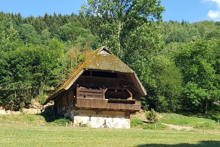 Black Forest Private Full-Day Tour: Baden-Baden to Freiburg — Triberg, Titisee & Waterfalls photo 6