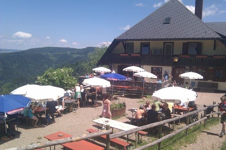 Black Forest Private Full-Day Tour: Baden-Baden to Freiburg — Triberg, Titisee & Waterfalls photo 3