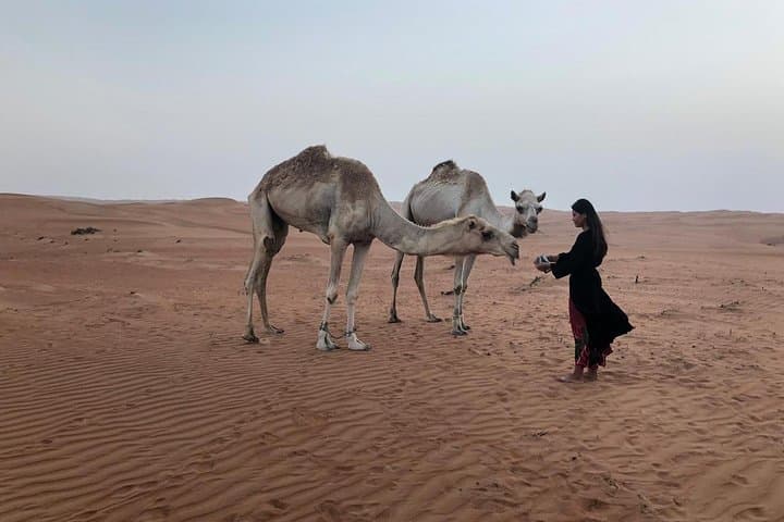 Grand Mosque & Wahiba Sands: Private Day Trip from Muscat photo 6