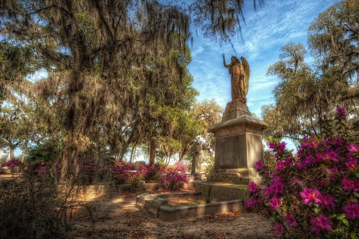 Bonaventure Cemetery Tour in Savannah: 90-Minute Historical & Ghost Walk photo 2