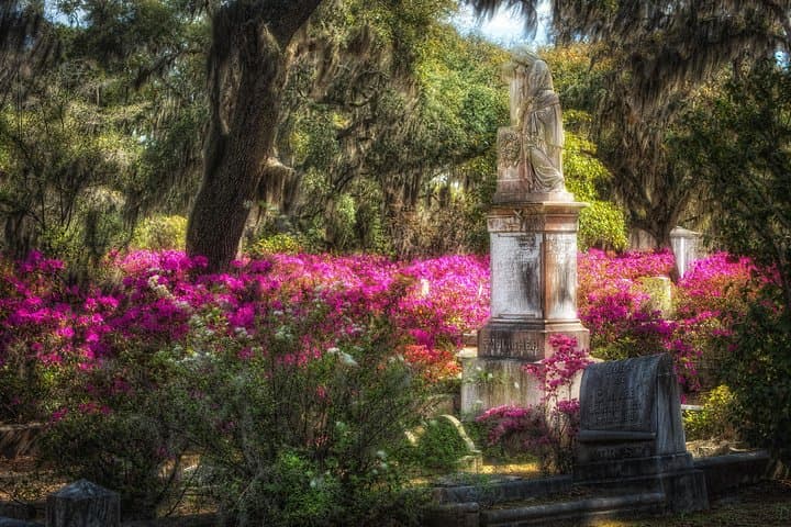 Bonaventure Cemetery Tour in Savannah: 90-Minute Historical & Ghost Walk photo 4