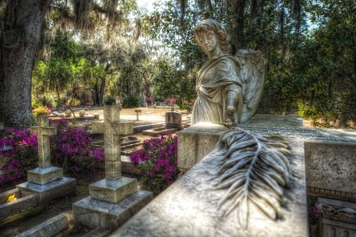 Bonaventure Cemetery Tour in Savannah: 90-Minute Historical & Ghost Walk photo 3