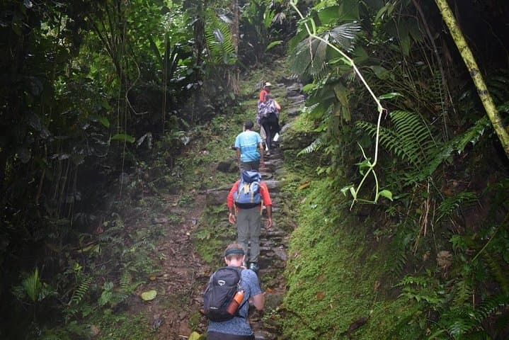 5-Day Lost City Trek (Ciudad Perdida) from Santa Marta photo 5