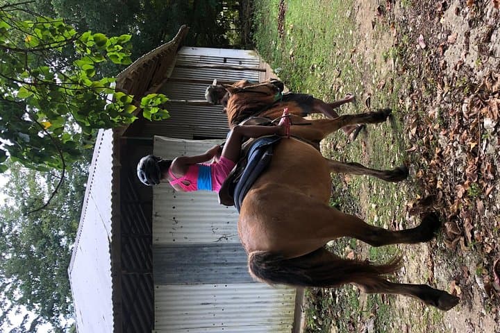 Customize Your Ocho Rios Day: Horseback, Rafting, Blue Hole & Dunn's River photo 2