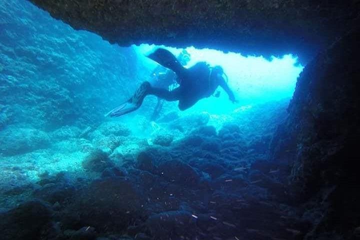 Blue Sea Diving: Taormina Two-Tank Scuba Adventure for Certified Divers photo 5
