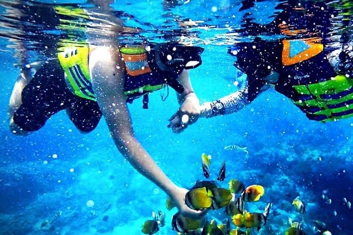 Giftun Island Snorkel Trip from Hurghada — Reef Cruises & Dolphin Watching photo 3
