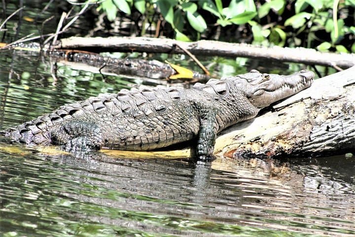 YS Falls and Black River Safari: Private Full-Day Tour from Runaway Bay photo 2