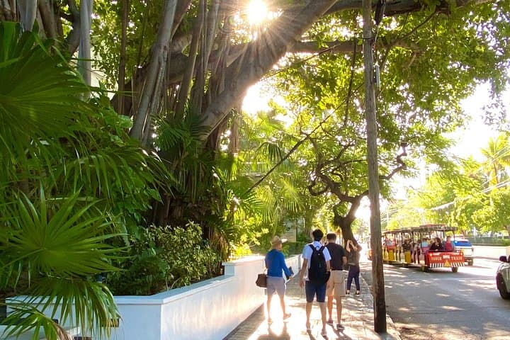 Private Southernmost Key West Walking Tour: History, Culture & Key Lime Pie photo 3