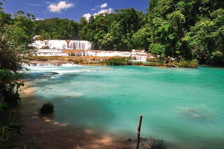 Chiapas Treasures: Sumidero, Agua Azul & Palenque in 4 Days photo 6