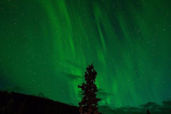 Rovaniemi Northern Lights Minibus Hunt — Aurora Chase with Local Guides photo 3