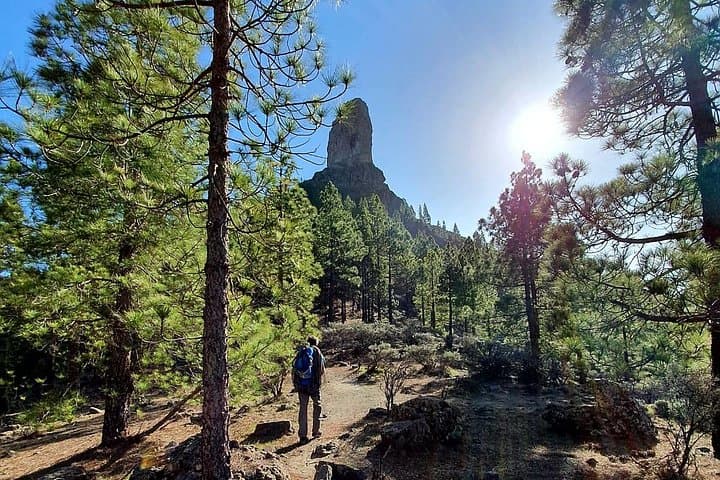 Gran Canaria Climbing Guide: Professional Guided Rock Climbs on GC-60 photo 4