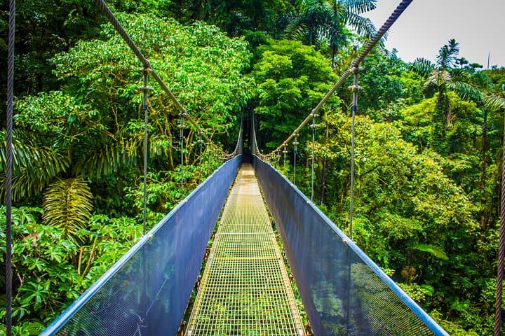 Arenal Hanging Bridges: Rainforest Canopy Walk from La Fortuna photo 4
