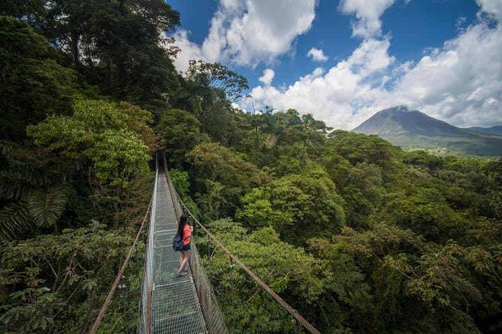 Arenal Hanging Bridges: Rainforest Canopy Walk from La Fortuna
