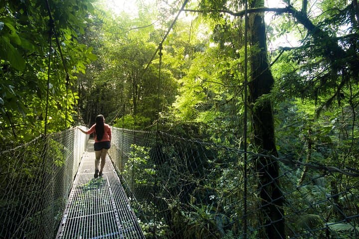 Arenal Hanging Bridges: Rainforest Canopy Walk from La Fortuna photo 6