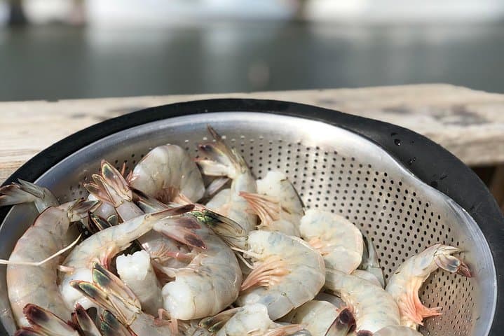 Shem Creek Shrimp Walking Tour: Charleston's Working Waterfront photo 6