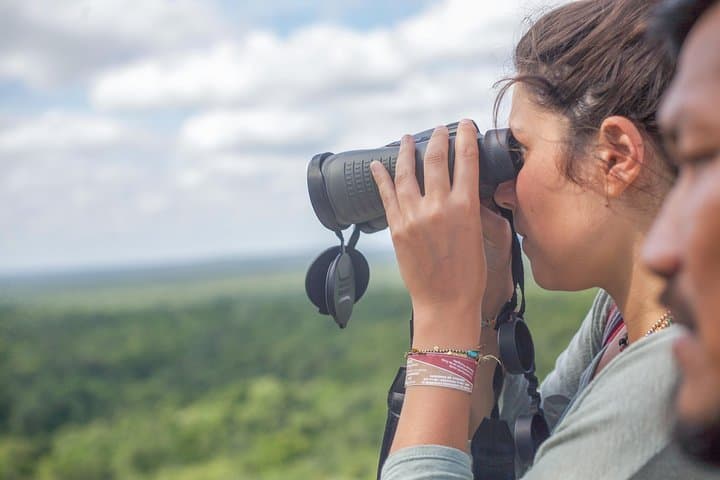 Birdwatching the Mayan Cities: Guided Tour to Dzibanche from Bacalar