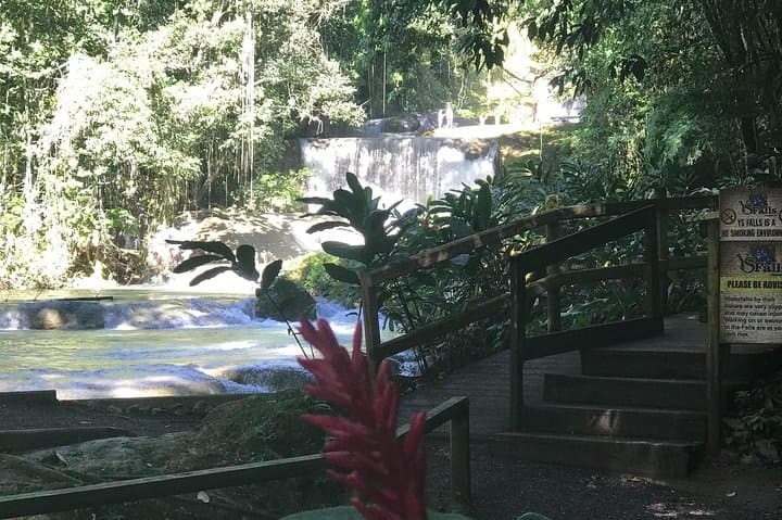 YS Falls, Floyd’s Pelican Bar & Black River Safari — Full-Day South Coast Tour photo 3