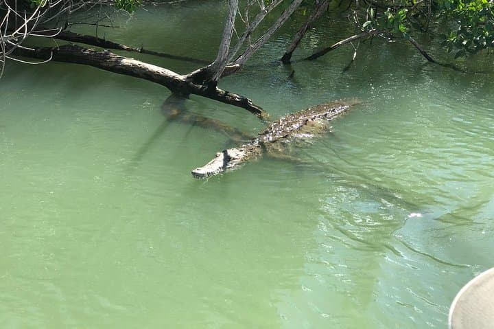 YS Falls, Floyd’s Pelican Bar & Black River Safari — Full-Day South Coast Tour photo 6