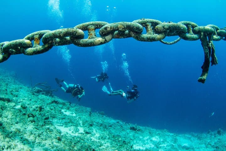 Introduction Shore Dive with Scubacao — Discover Scuba in Curaçao's Coral Nursery photo 4