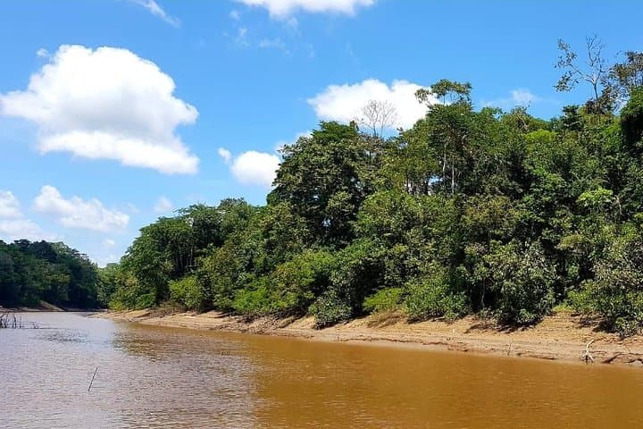 Amazon Discovery: 4-Day Pacaya-Samiria Wildlife Expedition from Iquitos photo 4