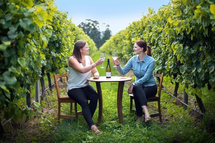 Full-Day Marlborough Wine Tour from Blenheim — Visit 6–7 Wineries photo 4