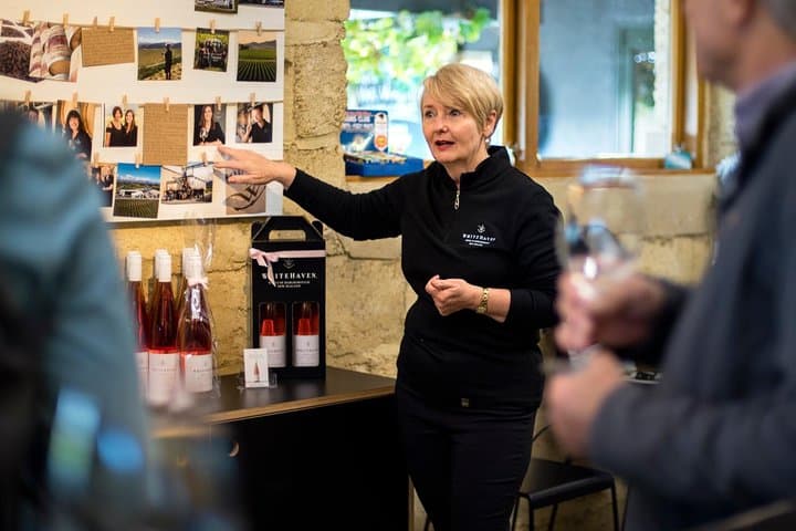 Half-Day Marlborough Wine Tour from Picton: Vineyards, Cellar Doors & Tasting Tips photo 5