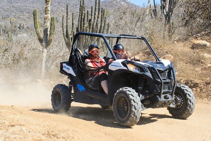 Combo Horseback Riding and UTV Tour in Cabo San Lucas: Beachfront Gallops & Off-Road Trails photo 2