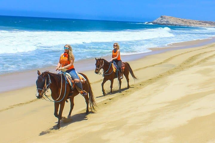 Combo Horseback Riding and UTV Tour in Cabo San Lucas: Beachfront Gallops & Off-Road Trails photo 3