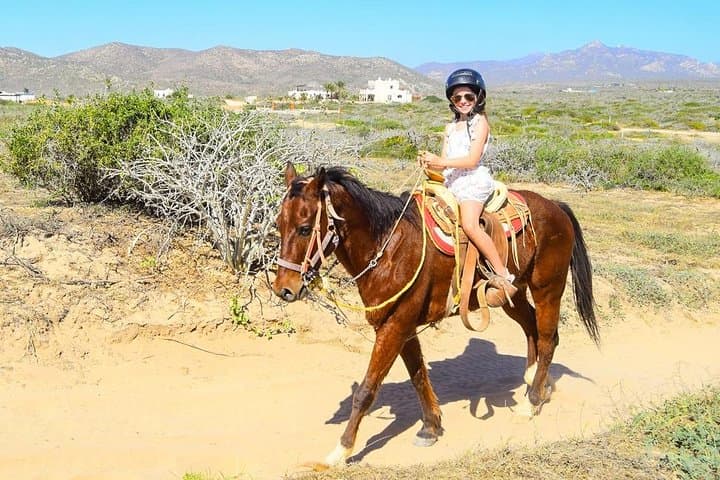 Combo Horseback Riding and UTV Tour in Cabo San Lucas: Beachfront Gallops & Off-Road Trails photo 4