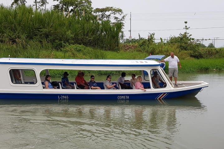 Veragua Rainforest & Tortuguero Canals Shore Excursion from Puerto Limón photo 5